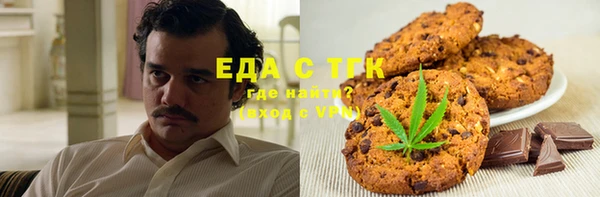 хмурый Алексин