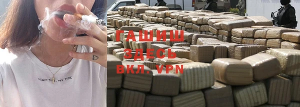 хмурый Алексин