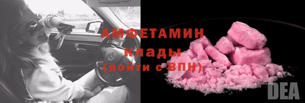 ECSTASY Алзамай