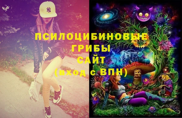 хмурый Алексин