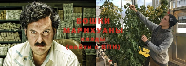 шишки Алексеевка