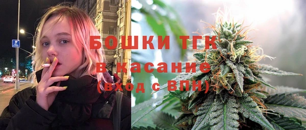 шишки Алексеевка