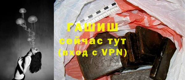 хмурый Алексин