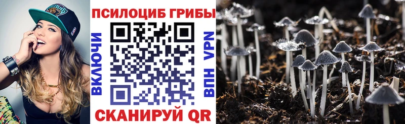 купить наркоту  Североуральск  Псилоцибиновые грибы GOLDEN TEACHER 